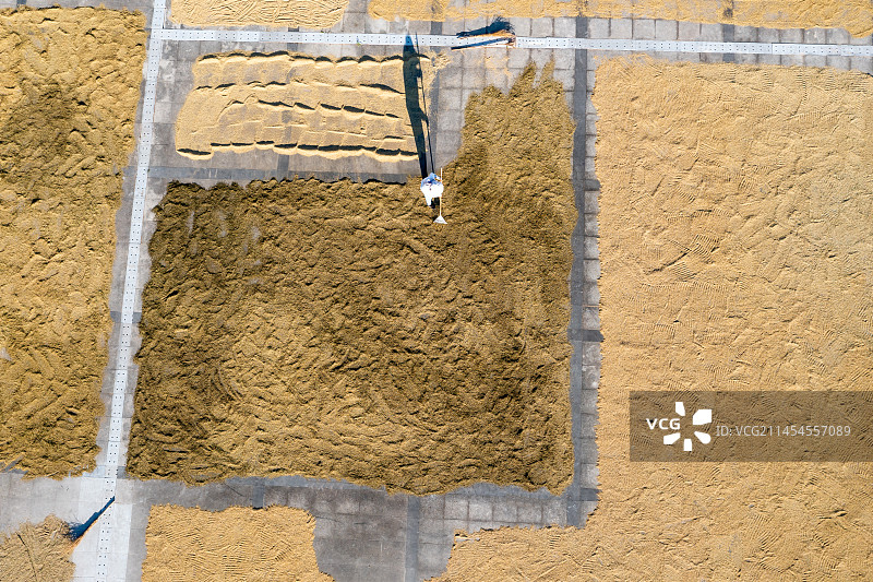 晒谷子图片素材