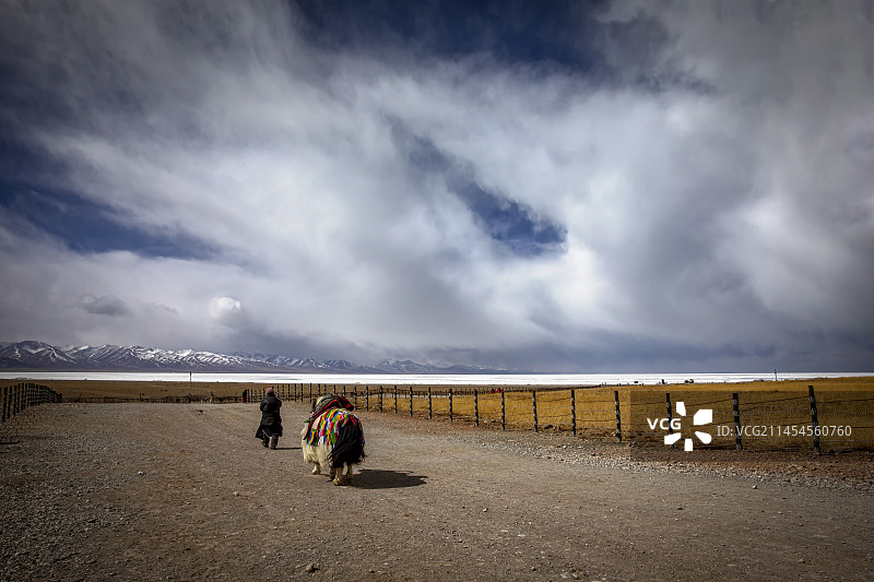 三月的西藏纳木措还是冰天雪地图片素材