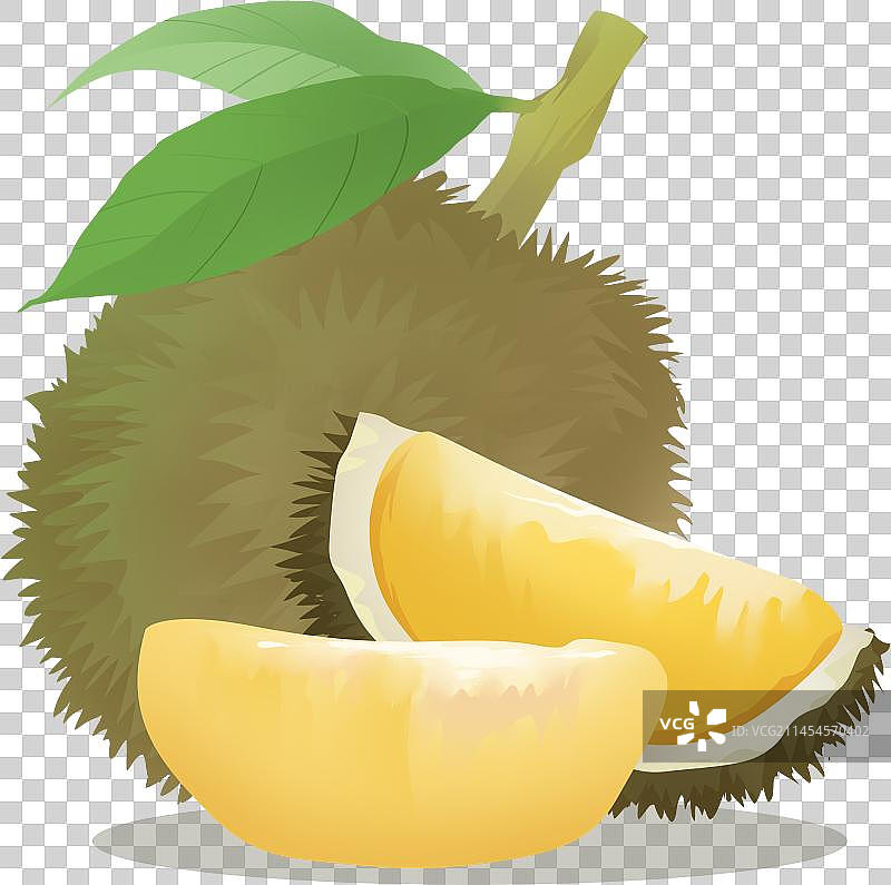 榴莲插画元素图片素材