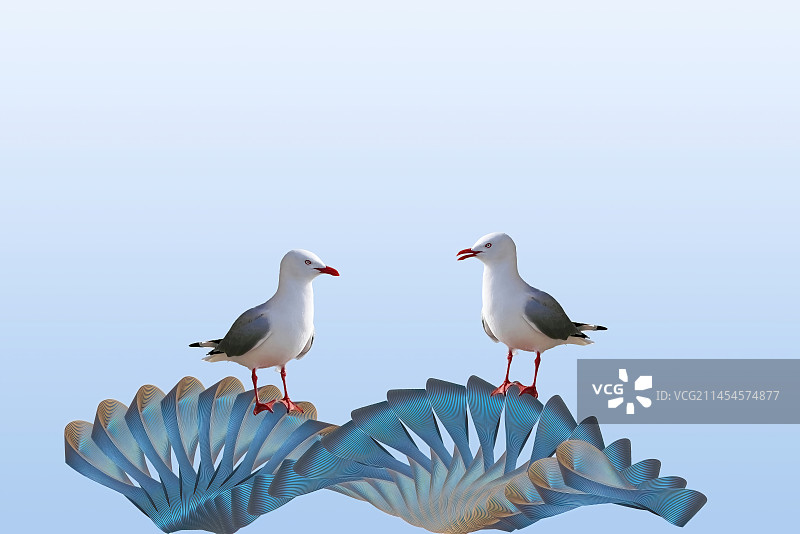 3D扇面，两只栖息的鸟图片素材