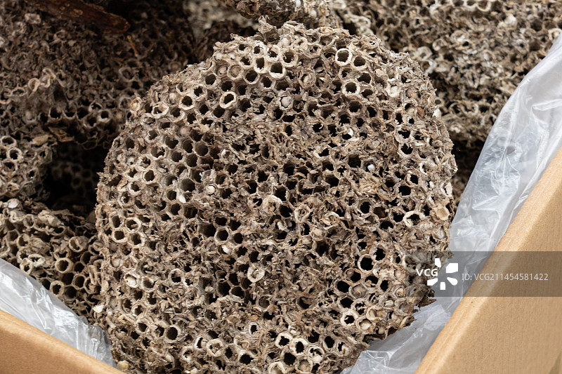 中药材马蜂窝蜂巢图片素材