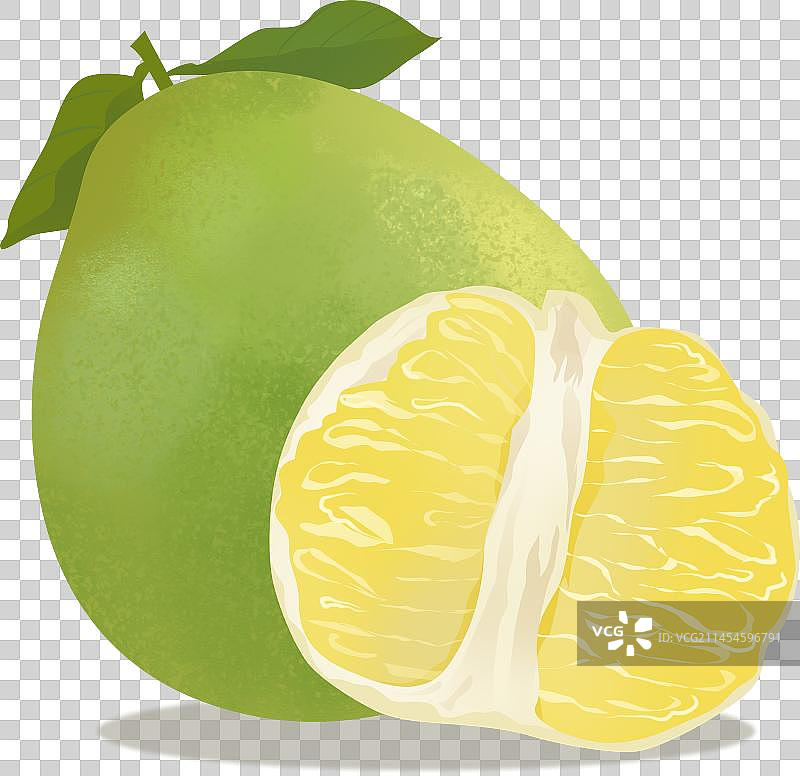 柚子插画元素图片素材