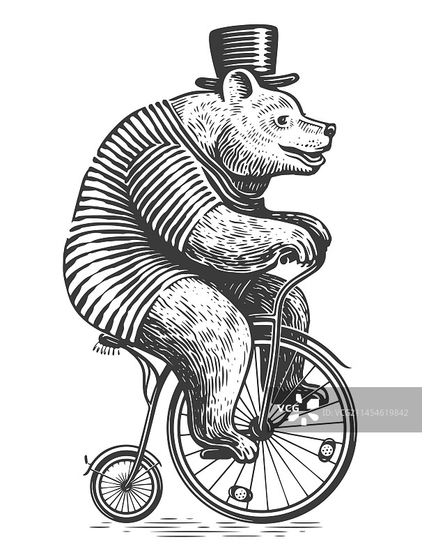 趣味熊骑着复古自行车进行马戏表演图片素材