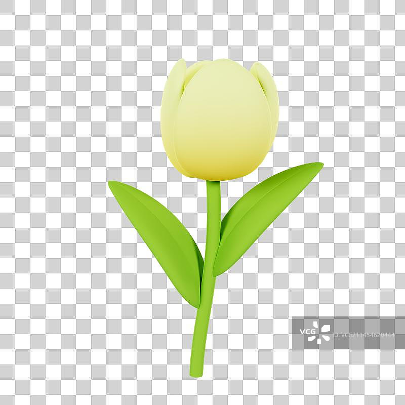 3D立体米黄色郁金香花朵元素图片素材
