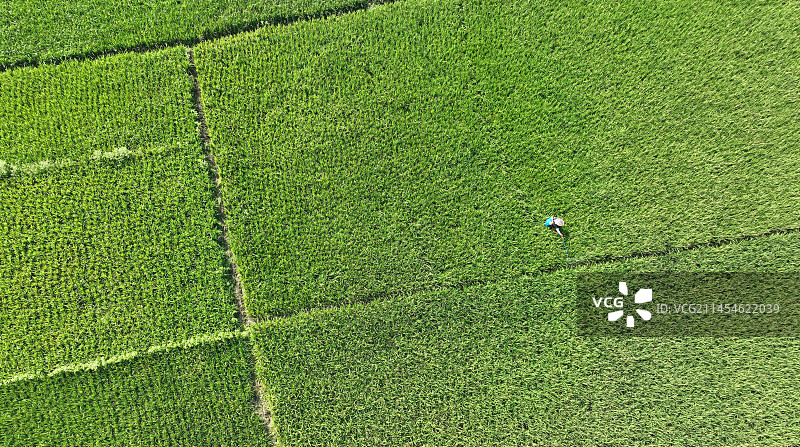 绿色的田园图片素材