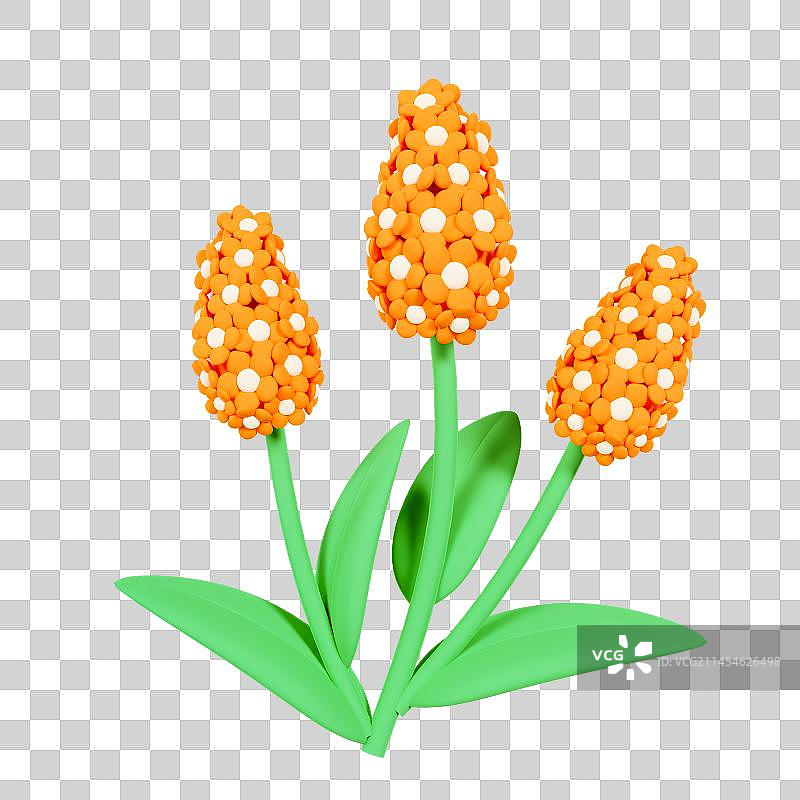 3D立体风信子花朵春天植物元素图片素材