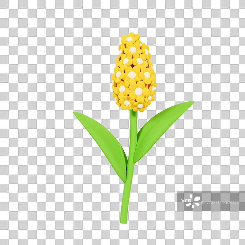 3D立体风信子花朵春天植物元素图片素材