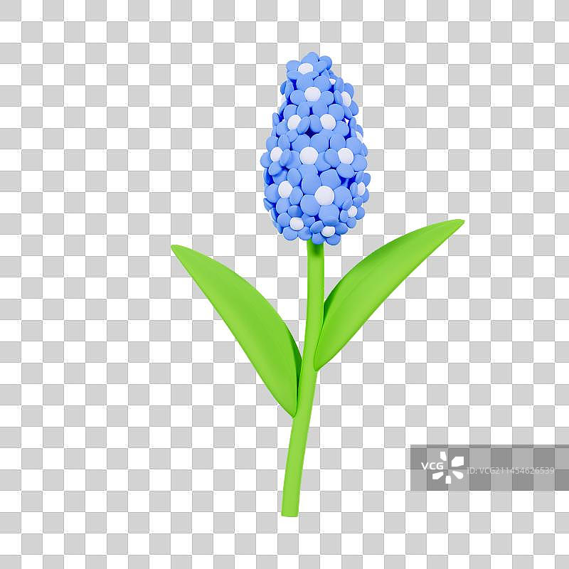 3D立体风信子花朵春天植物元素图片素材
