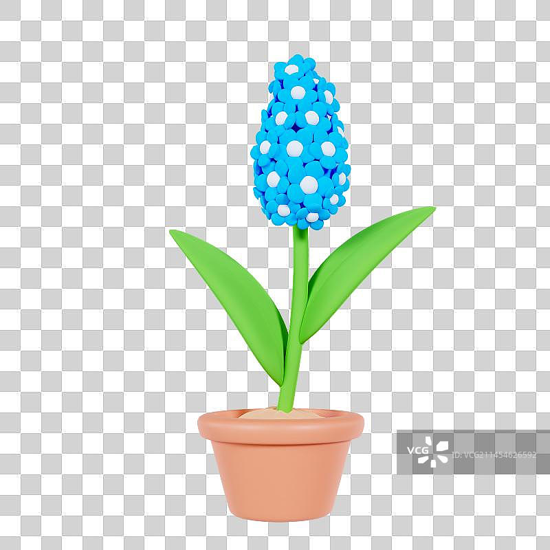 3D立体风信子花朵春天植物元素图片素材