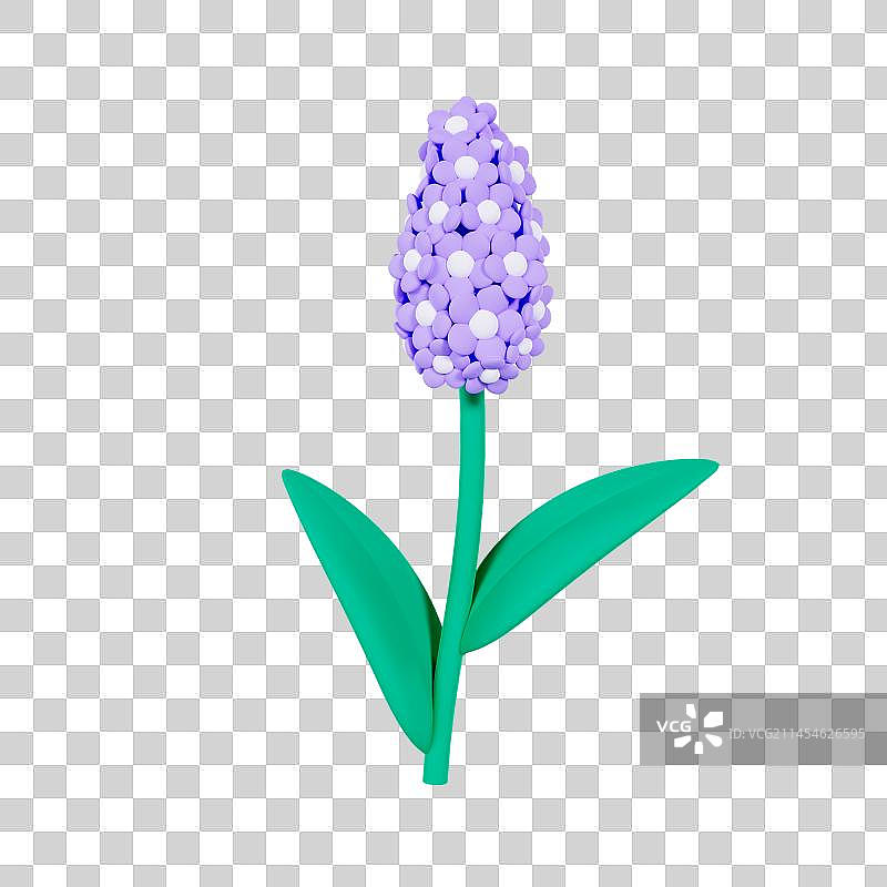 3D立体风信子花朵春天植物元素图片素材