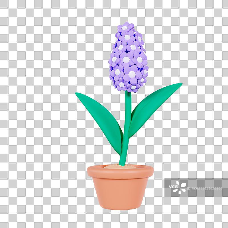 3D立体风信子花朵春天植物元素图片素材