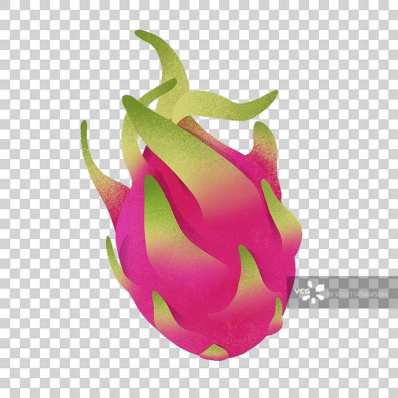 水果火龙果插画免抠元素图片素材