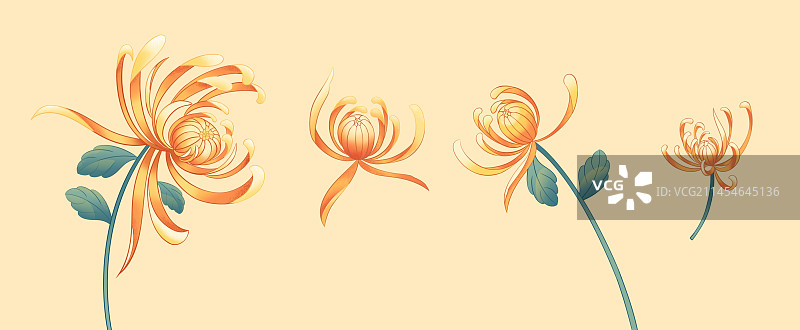 重阳节国潮风菊花插画素材图片素材