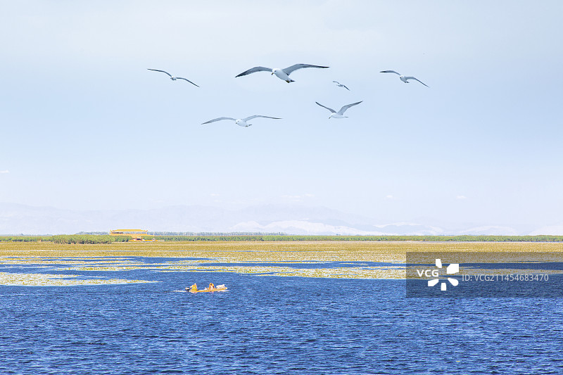 新疆库尔勒博斯腾湖风光图片素材