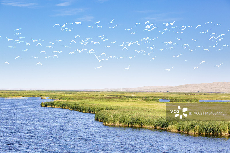 新疆巴州库尔勒市博斯腾湖风光图片素材