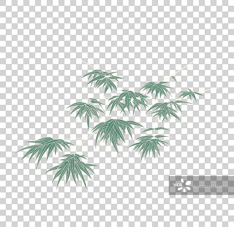 竹叶，竹子，竹枝，绿色，植物图片素材