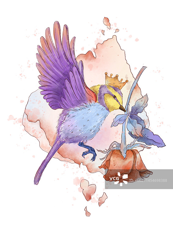 小肥秋图片素材