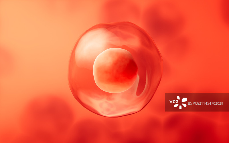 细胞与红色背景3D渲染图片素材