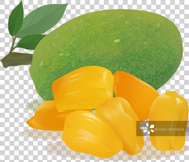 菠萝蜜插画元素图片素材