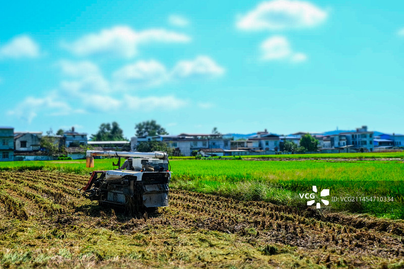 四川省内江市绵阳市江油市武都区户外水稻田，收获，粮食，丰收图片素材