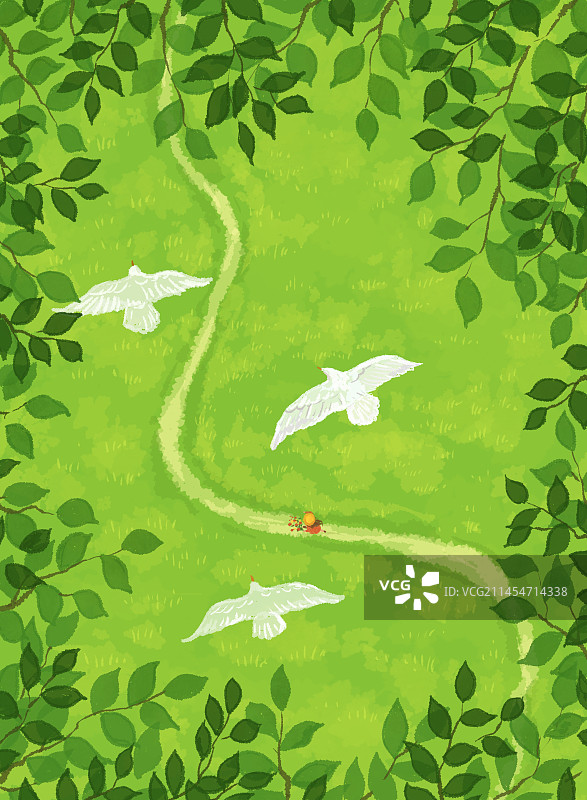 绿叶下的小路图片素材