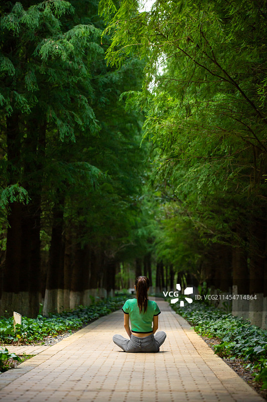 背影 树荫 丁达尔 小路 绿树  影子 安静 佛系 森系图片素材