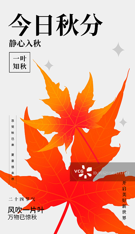 二十四节气立秋秋分枫叶新潮海报设计模版，简约新潮秋天红色枫叶叶植物秋季插画设计主视觉图片素材