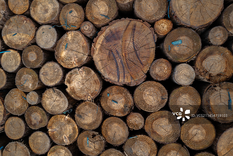 堆叠原木的全帧拍摄图片素材