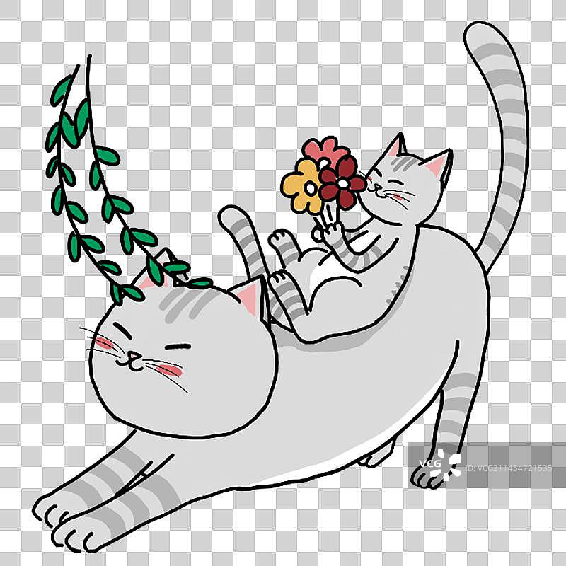 猫咪休息图片素材