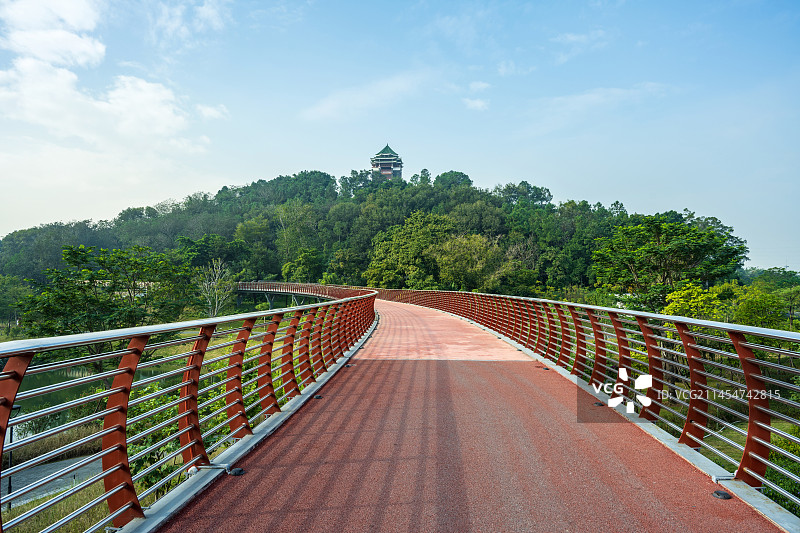 佛山王借岗森林公园图片素材