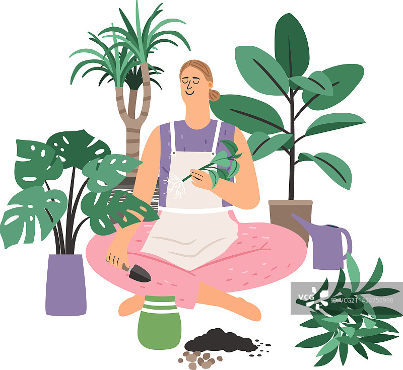 女人在室内植物园照顾室内植物图片素材