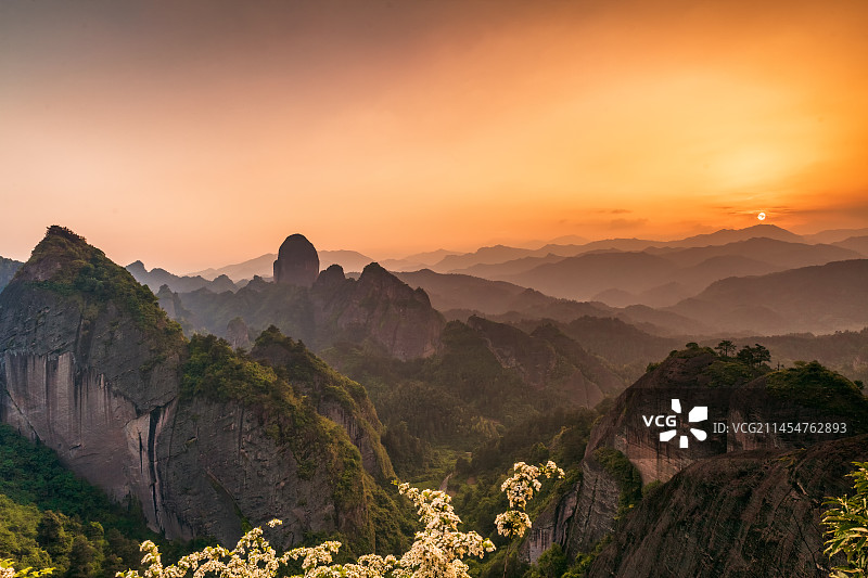 石楠与晚霞图片素材