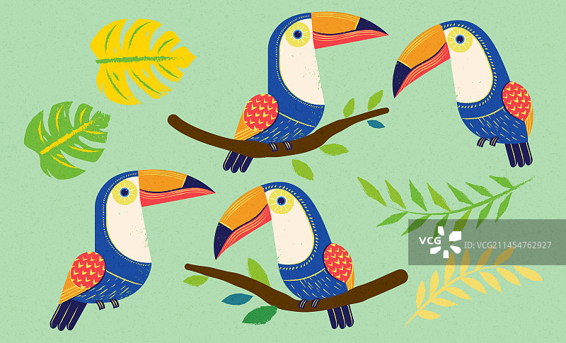 绚丽花纹的巨嘴鸟与树叶素材集合图片素材