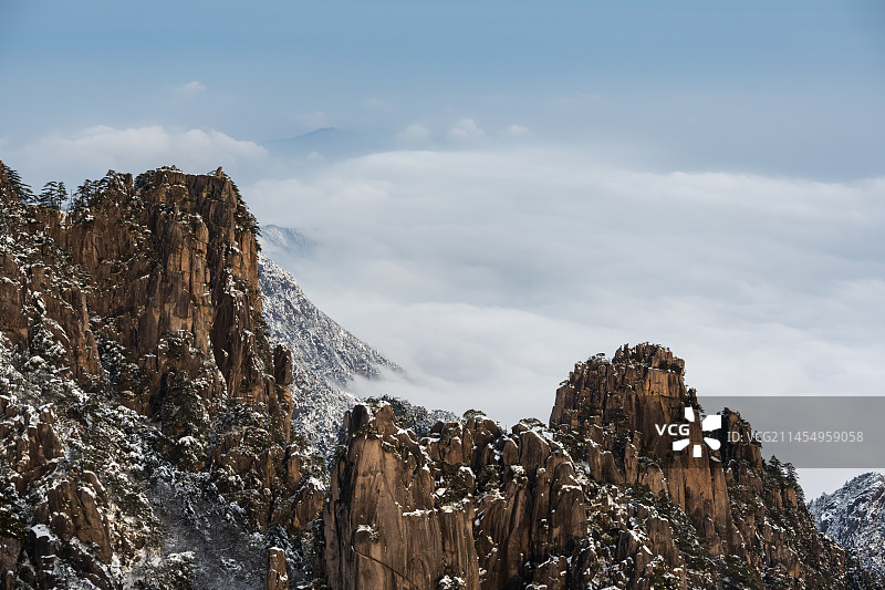 猴子观海图片素材