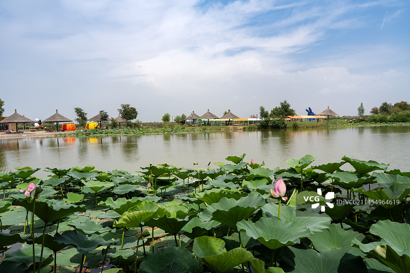 宁夏银川鸣翠湖国家湿地公园图片素材