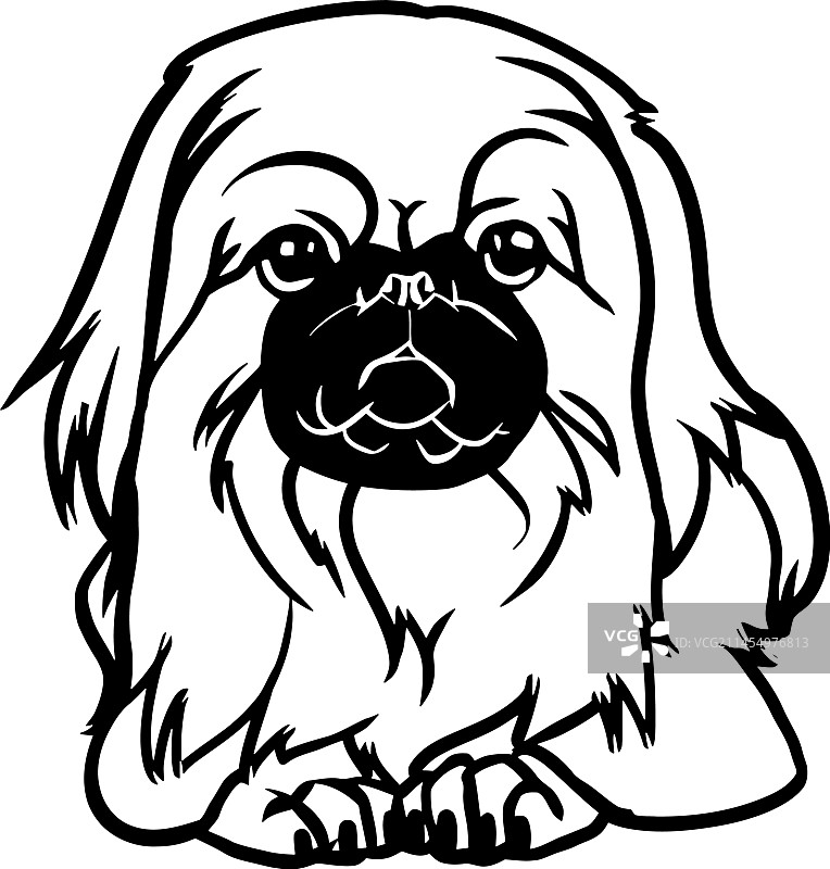 北京犬 - 躺着的狗库存隔离图片素材