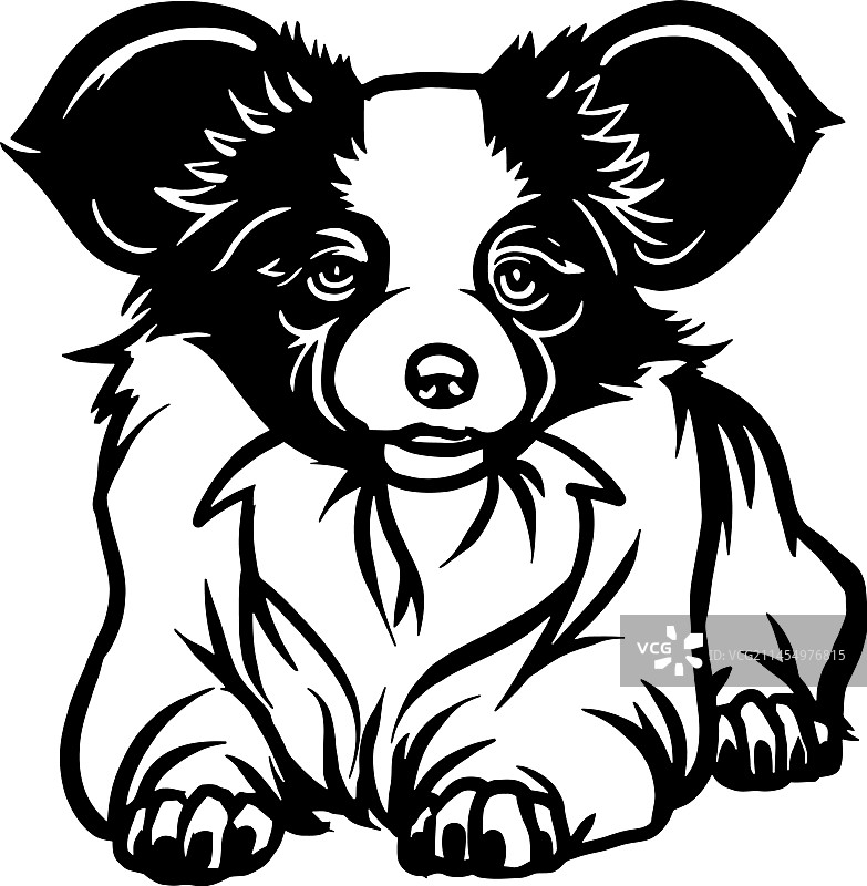 巴比伦犬 - 躺着的狗（库存隔离图）图片素材