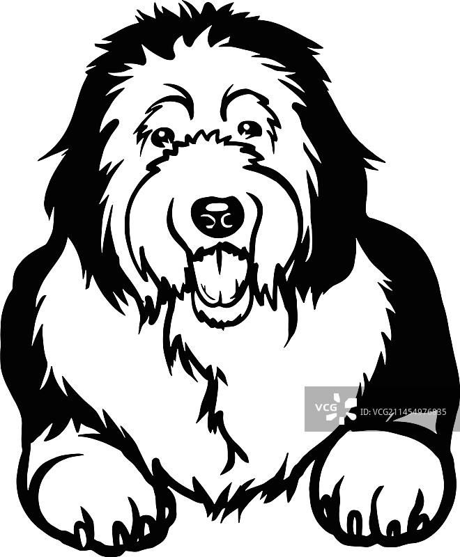 古代英国牧羊犬 - 躺着的狗素材图片素材