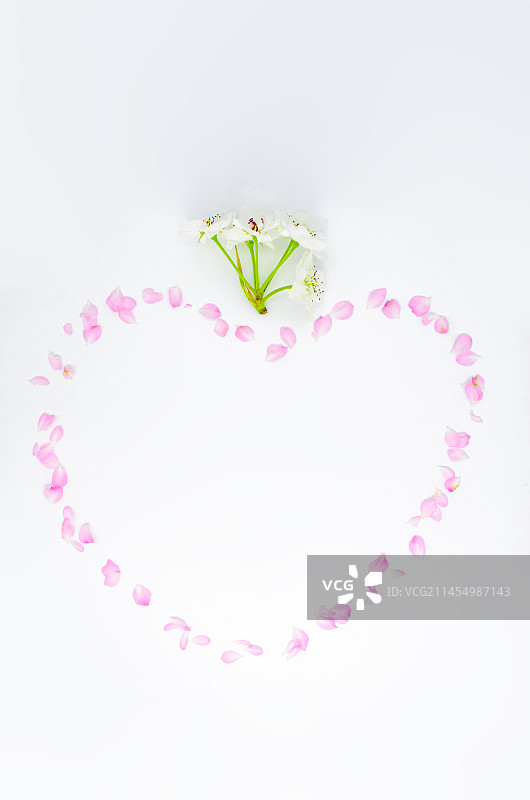 中国野生植物影棚拍摄主题，用重瓣榆叶梅花瓣和紫荆树花瓣排列组合的花盆盆栽几何形状，室内无人图像摄影图片素材