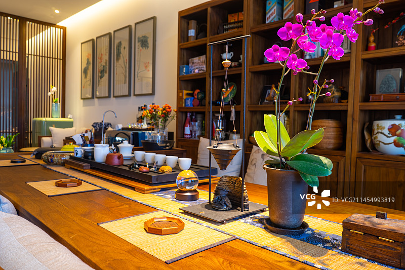 中国健康生活方式拍摄主题，茶室茶桌上盆栽植物和各种茶具茶杯茶道茶艺用品，室内无人图像摄影图片素材