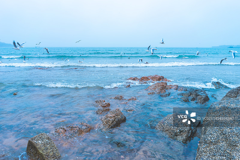 中国青岛旅游城市拍摄主题，蓝天白云飞翔的海鸥和海洋海岸上的礁石沙滩，户外白昼无人图像摄影图片素材