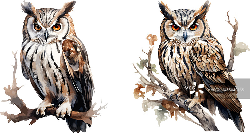 猫头鹰剪贴画图片素材