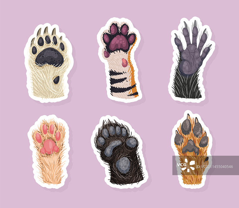 动物爪子宠物爪子贴纸图片素材