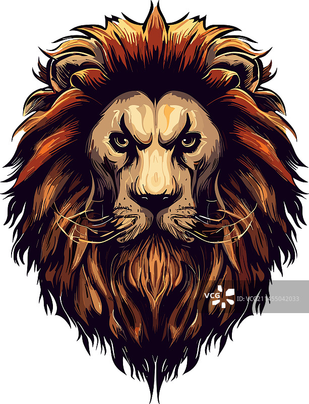 宁静的狮子肖像，巧妙的优雅图片素材