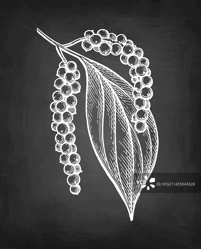 黑胡椒粉粉笔画图片素材