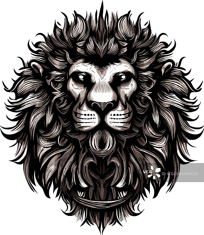 雄伟狮子的力量与权威图片素材