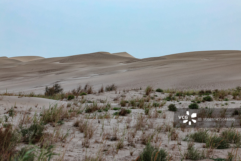 海师图图片素材