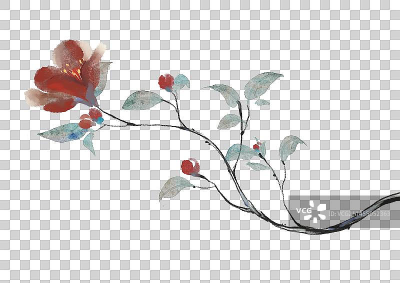 红色山茶花免扣元素图片素材