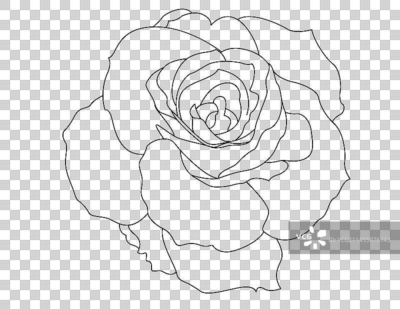玫瑰花花卉黑色线稿图片素材