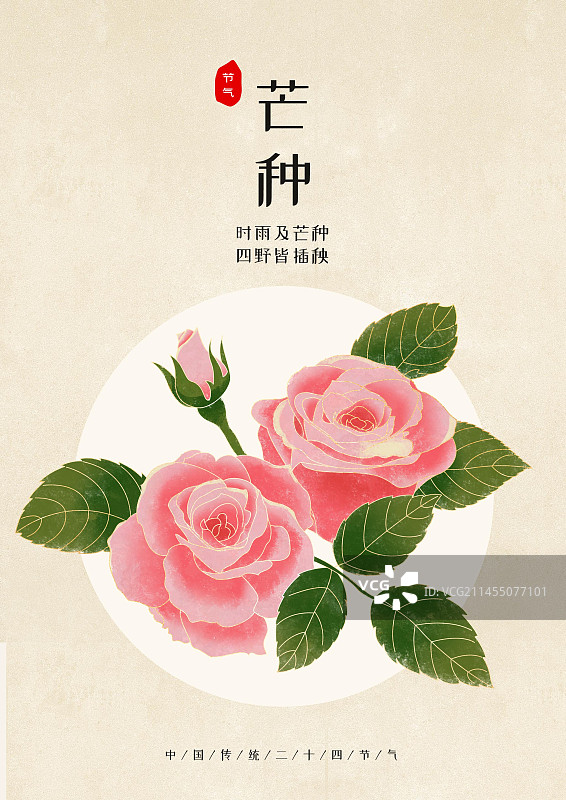 国风节气芒种夏天玫瑰花插画海报图片素材